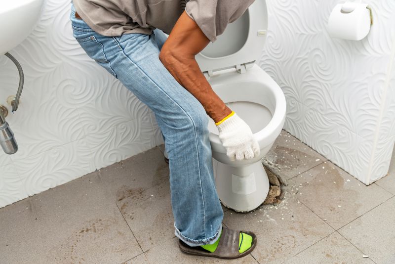 Toilet Installation Service detail